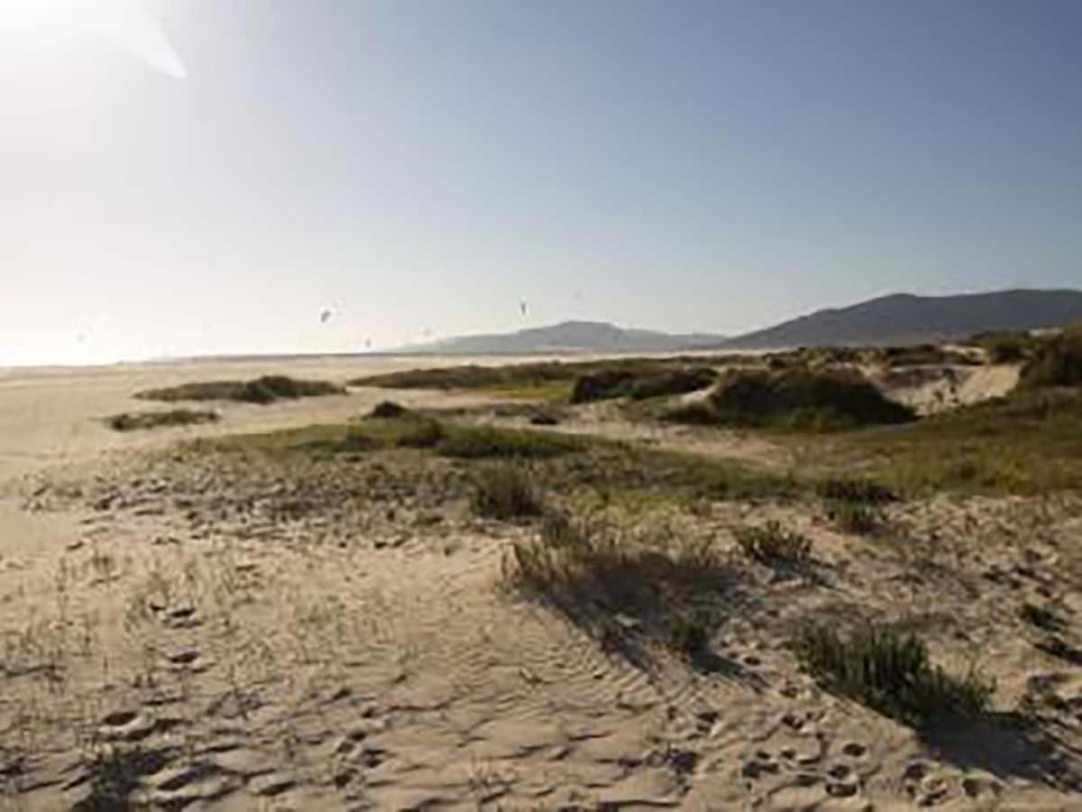 Tarifa II Convento Daire Dış mekan fotoğraf